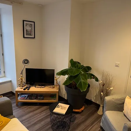 Апартаменты La Maison De Jean Сен-Флур