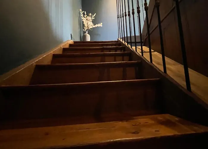 Apartment La Maison De Jean Saint-Flour (Cantal)