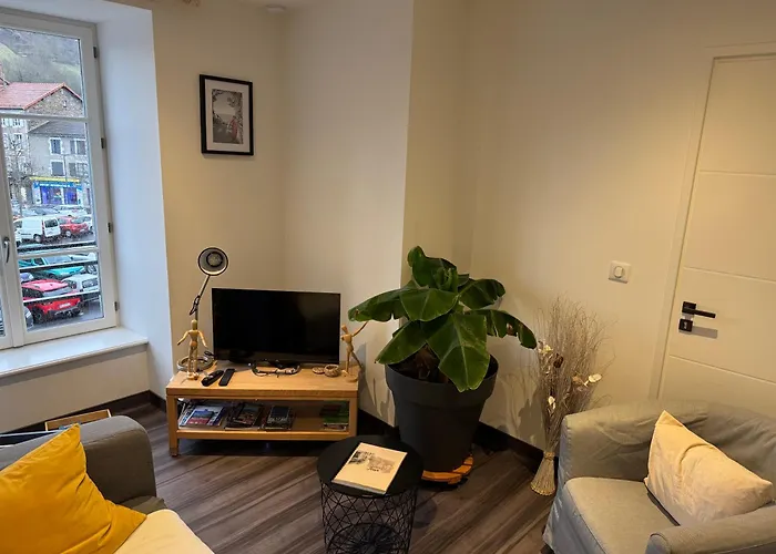 Apartment La Maison De Jean Saint-Flour (Cantal)